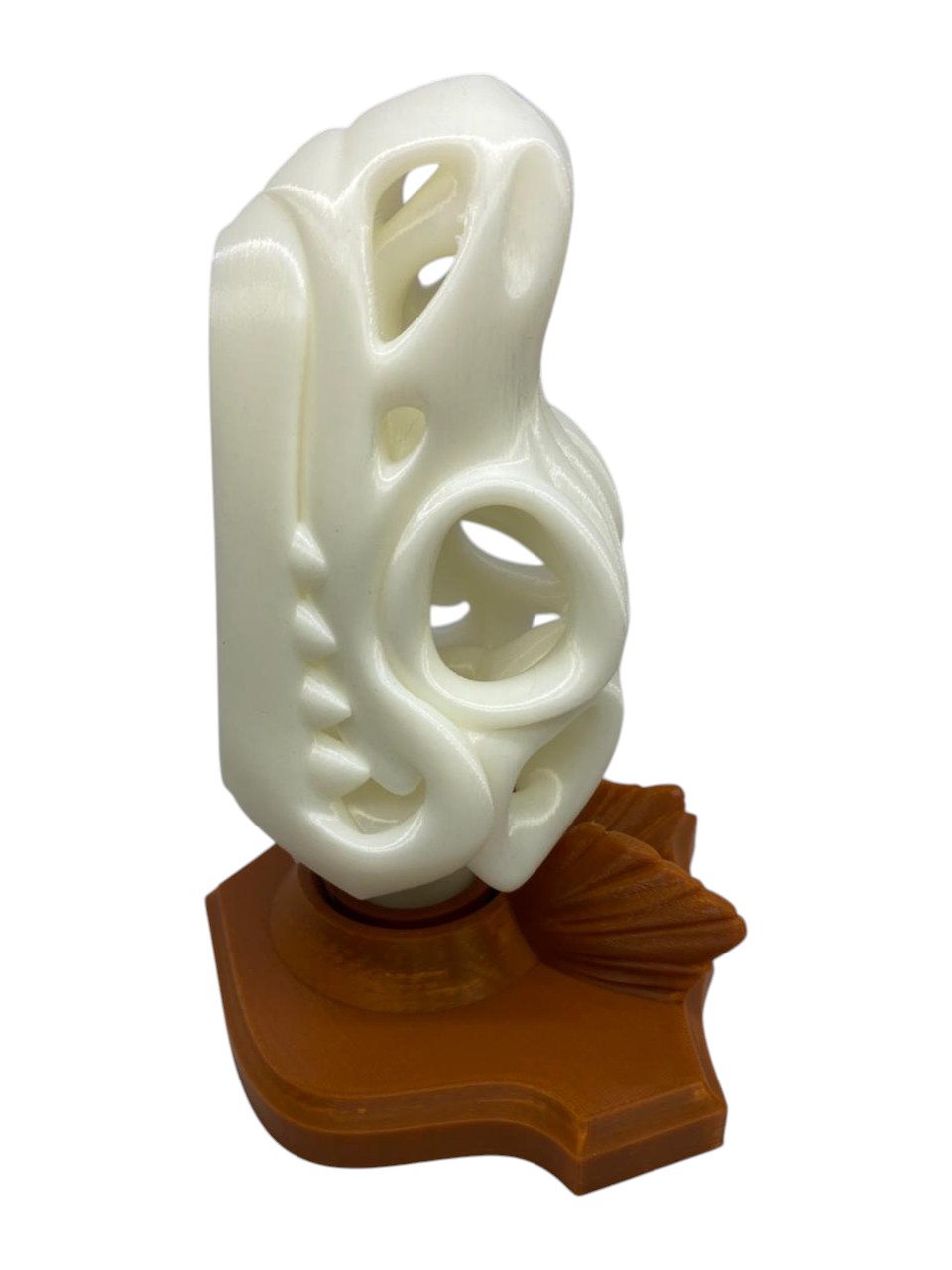 Esqueleto Estegosaurio Para Pared