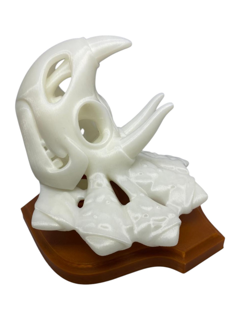 Cráneo De Triceratops Para Pared